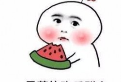 吃瓜摇扇纳凉视频下载,吃瓜摇扇，视频下载带你感受清凉时光