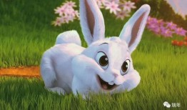 兔子可以吃白沙瓜吗视频,揭秘宠物饮食之谜