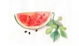 蜜瓜可用勺子挖吃么视频,勺子巧用体验新口感