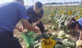 乌海市吃瓜事件视频曝光,视频曝光引发社会热议