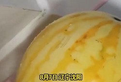 黄皮的瓜咋吃最好吃呢视频,视频教你如何吃出最佳口感