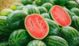 青丘吃瓜的视频,揭秘娱乐圈幕后真相