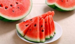 吃蜜瓜女孩原版视频大全