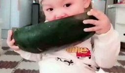 吃瓜视频小朋友