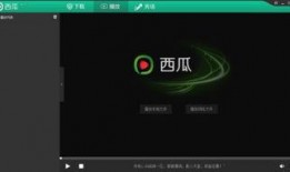 吃瓜电台第五期视频播放,揭秘热门事件背后的真相与笑料