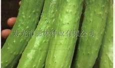 吃瓜视频素材哪里找到的,吃瓜视频素材的来源大揭秘