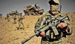 韩国特种兵吃瓜事件视频,真相揭秘与网络热议