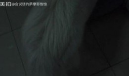 整蛊搞笑吃瓜视频在线观看,在线观看乐翻天