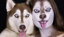 抖音吃瓜哈士奇电钻视频,抖音上最“瓜”的宠物趣味视频