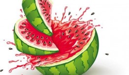 吃瓜乐趣多视频,短视频带你领略人间百态