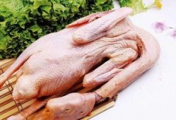 吃瓜鹅大神完整视频,一场视觉盛宴的深度解析