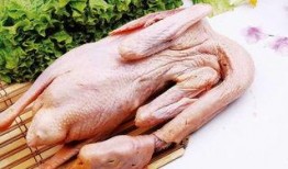 吃瓜鹅大神完整视频,一场视觉盛宴的深度解析