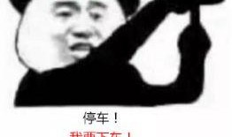 吃瓜视频不正经,揭秘娱乐圈不为人知的“秘密花园”