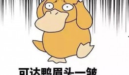 大城吃瓜道歉视频完整版,深度剖析事件始末与反思