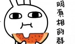 吃瓜围观姿势视频大全下载,视频大全下载攻略