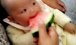 吃小瓜的小孩视频播放大全,童趣盎然，欢乐无限