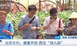 最新新闻记者吃瓜视频,最新视频曝光幕后真相