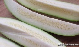 幼儿吃角瓜怎么做好吃视频,简单易学，营养满分