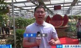 最新新闻记者吃瓜视频,最新视频曝光幕后真相