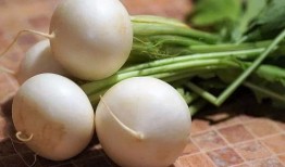 几月吃白梨瓜最好吃呢视频,# 哪个月份的白梨瓜最鲜美？揭秘最佳食用时期