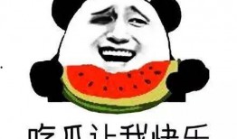 尬笑吃瓜群众流汗视频,尴尬笑料与汗水交织的吃瓜现场