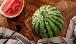 上海网红吃瓜视频,揭秘都市生活背后的八卦风云