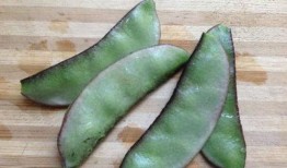 可以吃茭瓜吗有毒吗视频,揭秘茭瓜是否有毒