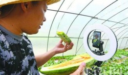 吃瓜搞笑卖惨视频大全,盘点那些搞笑卖惨的吃瓜视频盛宴