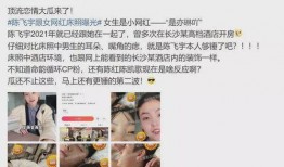 陈飞宇 吃瓜视频完整版,揭秘娱乐圈幕后真相