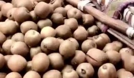 带你吃瓜野生系列视频,揭秘幕后故事与趣味瞬间