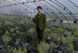 惬意吃瓜视频在线观看,揭秘“吃瓜”视频的魅力所在