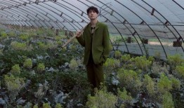 惬意吃瓜视频在线观看,揭秘“吃瓜”视频的魅力所在