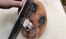 面瓜该怎么切着吃视频,视频教你轻松解锁美味