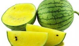 八卦吃瓜手写视频图片,揭秘手写视频背后的趣味与智慧