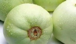 香瓜视频吃瓜网站,揭秘热门吃瓜网站背后的精彩故事