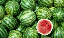 卖西瓜吃瓜视频大全播放,热门吃瓜视频大盘点，笑料横生，欢乐无限