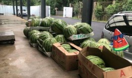 上海徐汇吃瓜事件视频最新,视频揭露惊人真相，网友热议不断