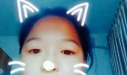 兔子吃呆瓜视频大全播放,兔子美食盛宴，欢乐无限