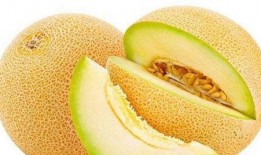 画人吃哈密瓜视频教程,跟随视频教程，美味哈密瓜轻松入口