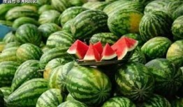 呼职吃瓜视频,揭秘校园热点事件背后的真相