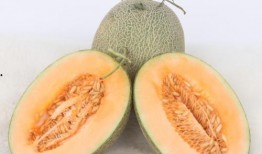 新疆旅游吃哈密瓜视频,甜蜜邂逅哈密瓜的味蕾盛宴