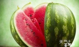 拉瓜适宜什么人群吃呢视频,营养丰富的健康食品，适合哪些人群食用？