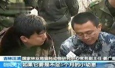 911热门今日吃瓜视频,今日热点事件深度解析