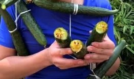 广东精神小伙吃瓜视频,街头热辣一幕引网友热议