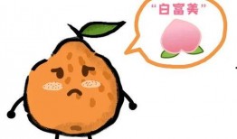 热榜吃瓜事件视频,揭秘网络热议背后的真相与争议