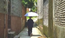 定州凤祥园吃瓜事件视频,一场引发热议的社区冲突视频揭秘