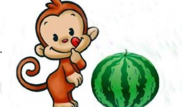 猴子吃吊灯瓜的故事视频,智慧与勇气的传奇故事