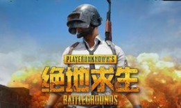 浮云瓜吃鸡视频,畅游虚拟战场，体验极限竞技魅力