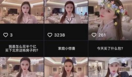 韩国吃瓜炫富事件视频播放,视频播放量惊人，揭秘奢华生活背后