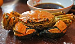 吃瓜哥卖螃蟹视频